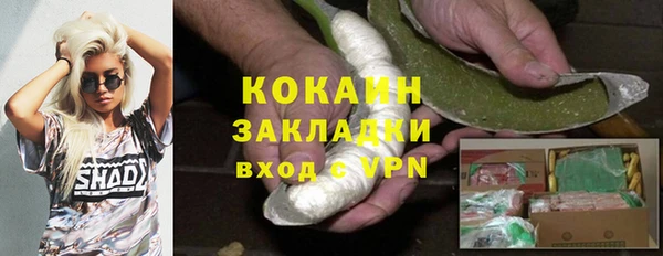 трава Наволоки