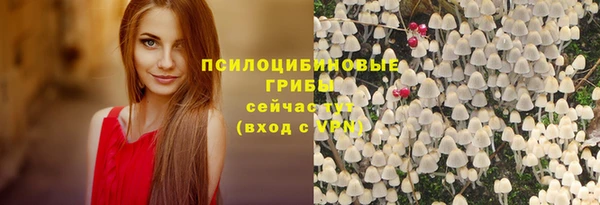 таблы Надым